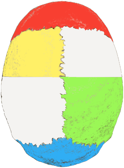 Human skull viewed from the top, with different sections highlighted in red, green, blue, white, and yellow
